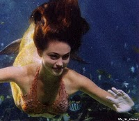 h2o3
